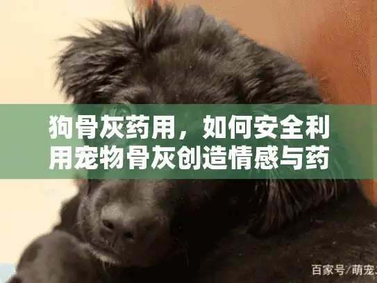 狗骨灰药用，如何安全利用宠物骨灰创造情感与药用价值的纪念物？