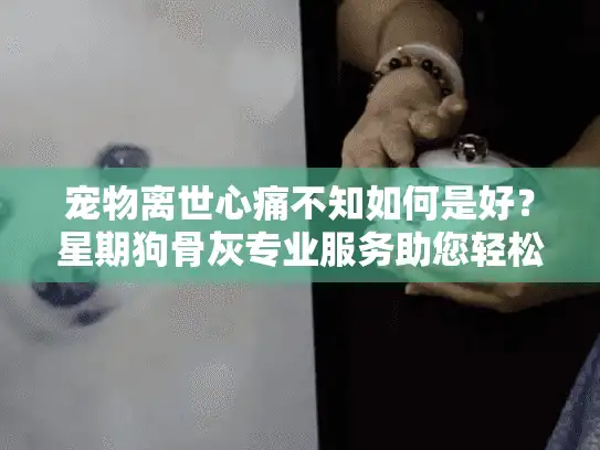 宠物离世心痛不知如何是好？星期狗骨灰专业服务助您轻松告别