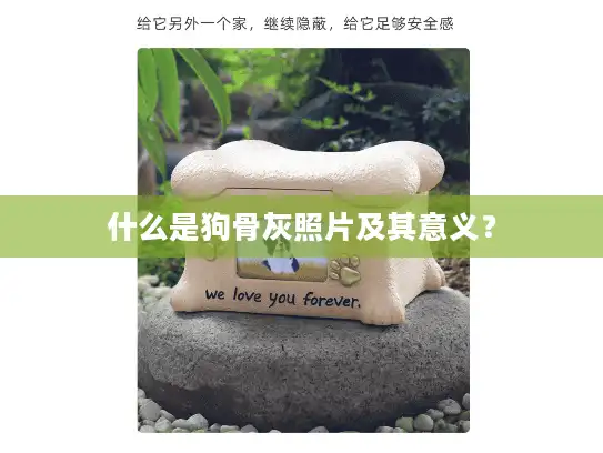 什么是狗骨灰照片及其意义？