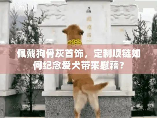 佩戴狗骨灰首饰，定制项链如何纪念爱犬带来慰藉？
