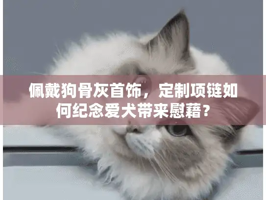 佩戴狗骨灰首饰，定制项链如何纪念爱犬带来慰藉？