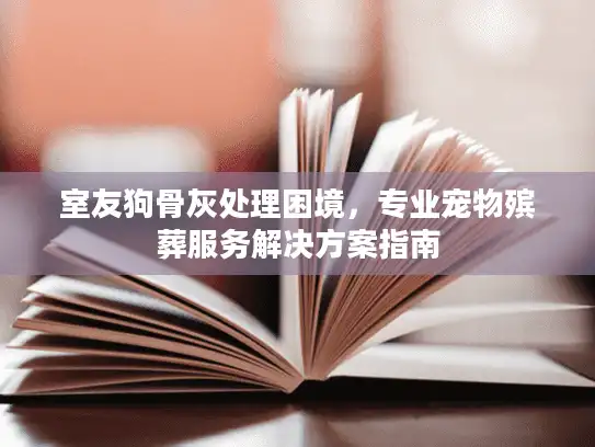 室友狗骨灰处理困境，专业宠物殡葬服务解决方案指南
