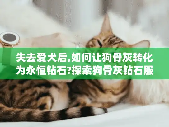 失去爱犬后,如何让狗骨灰转化为永恒钻石?探索狗骨灰钻石服务指南
