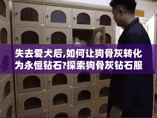 失去爱犬后,如何让狗骨灰转化为永恒钻石?探索狗骨灰钻石服务指南