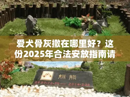 爱犬骨灰撒在哪里好？这份2025年合法安放指南请收好