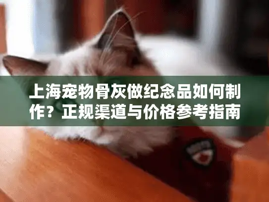 上海宠物骨灰做纪念品如何制作？正规渠道与价格参考指南