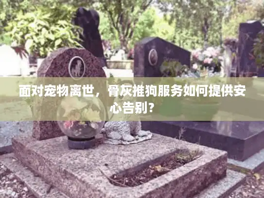 面对宠物离世，骨灰推狗服务如何提供安心告别？