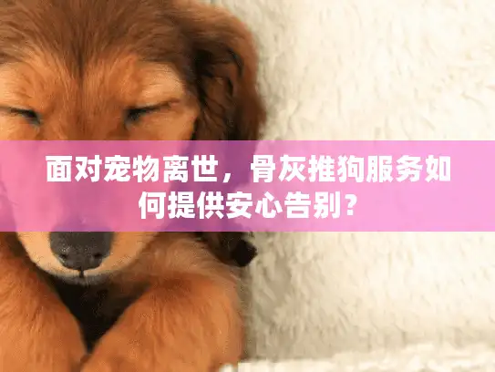 面对宠物离世，骨灰推狗服务如何提供安心告别？