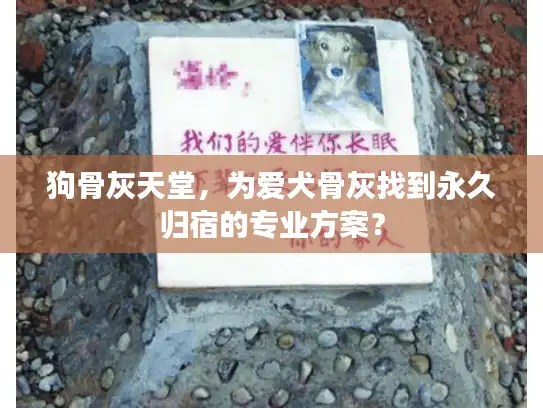 狗骨灰天堂，为爱犬骨灰找到永久归宿的专业方案？