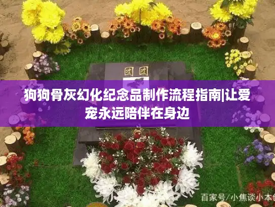 狗狗骨灰幻化纪念品制作流程指南|让爱宠永远陪伴在身边