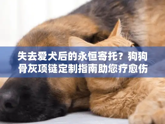 失去爱犬后的永恒寄托？狗狗骨灰项链定制指南助您疗愈伤痛