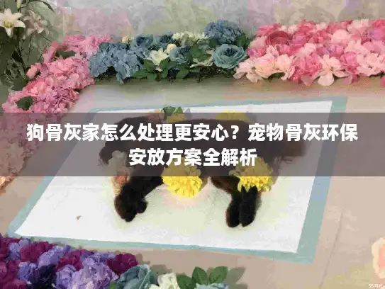 狗骨灰家怎么处理更安心？宠物骨灰环保安放方案全解析