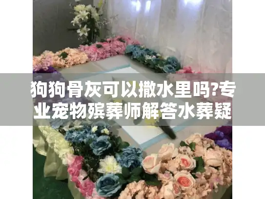 狗狗骨灰可以撒水里吗?专业宠物殡葬师解答水葬疑问