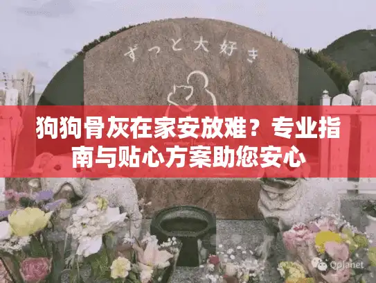 狗狗骨灰在家安放难？专业指南与贴心方案助您安心