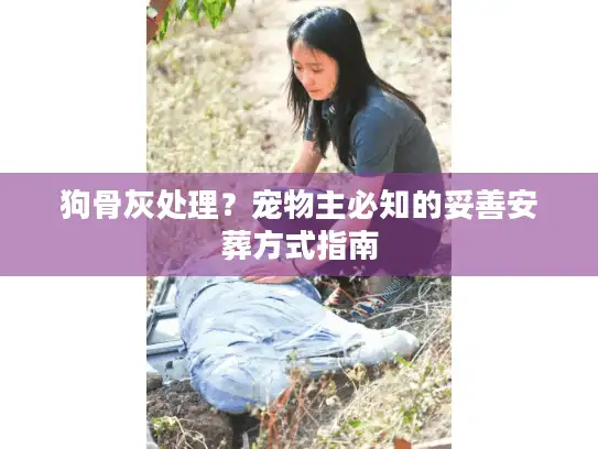 狗骨灰处理？宠物主必知的妥善安葬方式指南