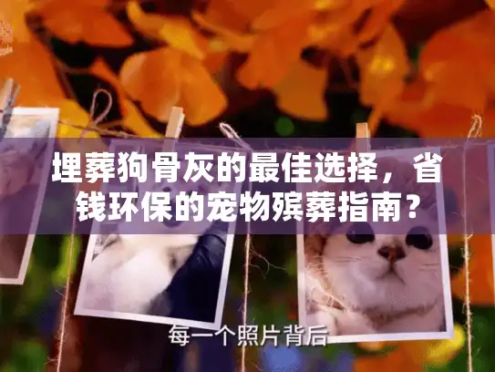 埋葬狗骨灰的最佳选择，省钱环保的宠物殡葬指南？