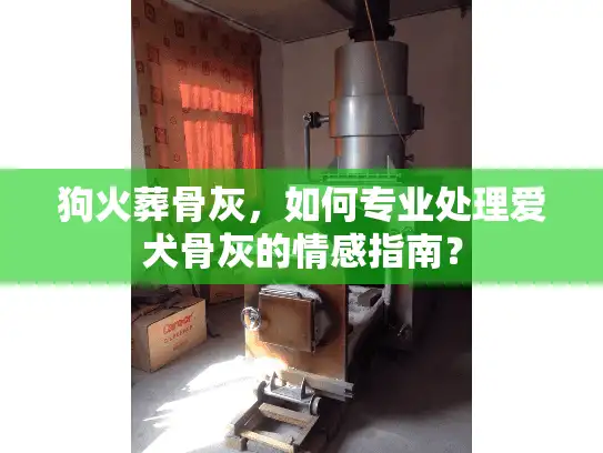 狗火葬骨灰，如何专业处理爱犬骨灰的情感指南？