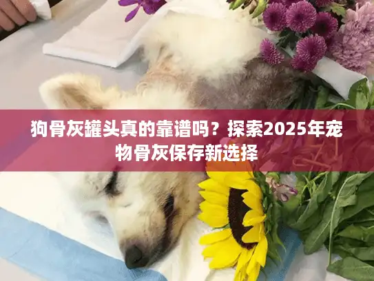 狗骨灰罐头真的靠谱吗？探索2025年宠物骨灰保存新选择
