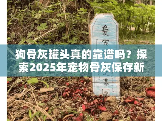 狗骨灰罐头真的靠谱吗？探索2025年宠物骨灰保存新选择