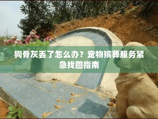狗骨灰丢了怎么办？宠物殡葬服务紧急找回指南