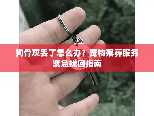 狗骨灰丢了怎么办？宠物殡葬服务紧急找回指南