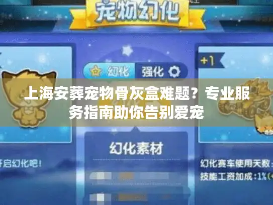 上海安葬宠物骨灰盒难题？专业服务指南助你告别爱宠