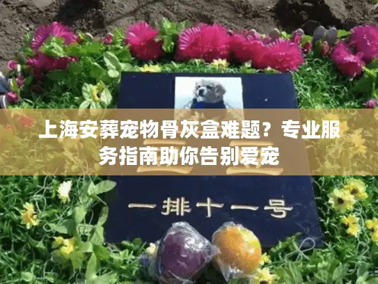 上海安葬宠物骨灰盒难题？专业服务指南助你告别爱宠