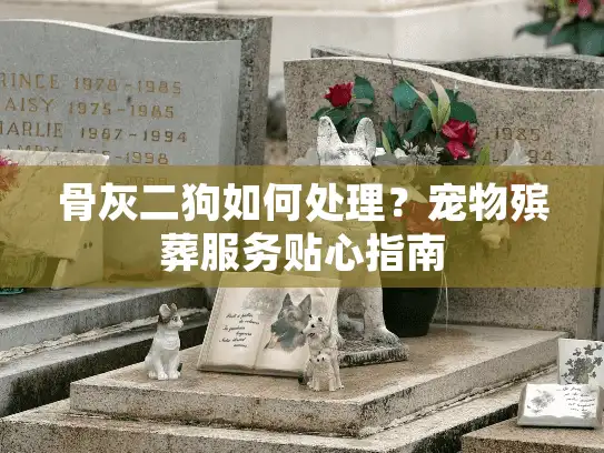 骨灰二狗如何处理？宠物殡葬服务贴心指南