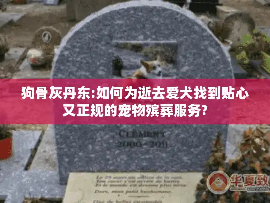 狗骨灰丹东:如何为逝去爱犬找到贴心又正规的宠物殡葬服务?