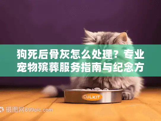 狗死后骨灰怎么处理？专业宠物殡葬服务指南与纪念方式