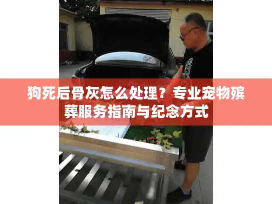 狗死后骨灰怎么处理？专业宠物殡葬服务指南与纪念方式