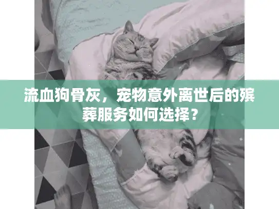 流血狗骨灰，宠物意外离世后的殡葬服务如何选择？