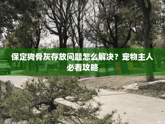保定狗骨灰存放问题怎么解决？宠物主人必看攻略