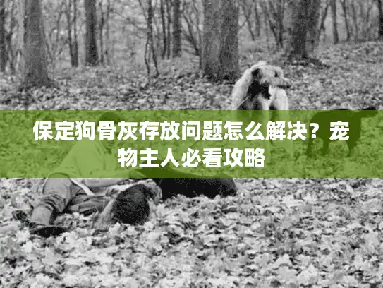 保定狗骨灰存放问题怎么解决？宠物主人必看攻略