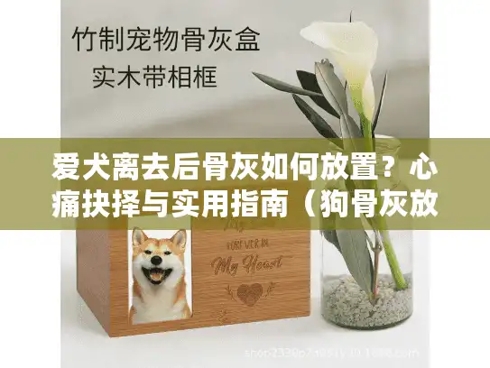 爱犬离去后骨灰如何放置？心痛抉择与实用指南（狗骨灰放置位置抉择）
