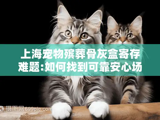 上海宠物殡葬骨灰盒寄存难题:如何找到可靠安心场所?