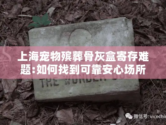 上海宠物殡葬骨灰盒寄存难题:如何找到可靠安心场所?