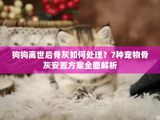 狗狗离世后骨灰如何处理？7种宠物骨灰安置方案全面解析