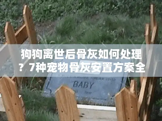 狗狗离世后骨灰如何处理？7种宠物骨灰安置方案全面解析