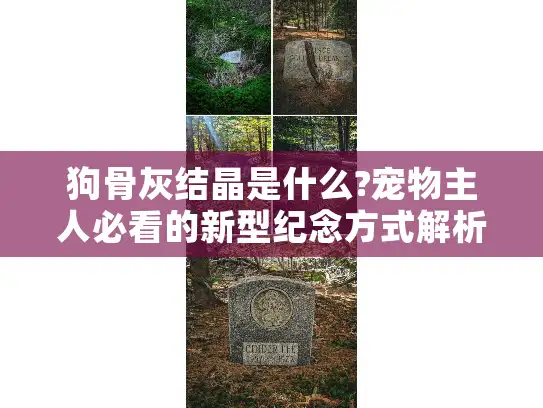 狗骨灰结晶是什么?宠物主人必看的新型纪念方式解析