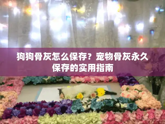 狗狗骨灰怎么保存？宠物骨灰永久保存的实用指南