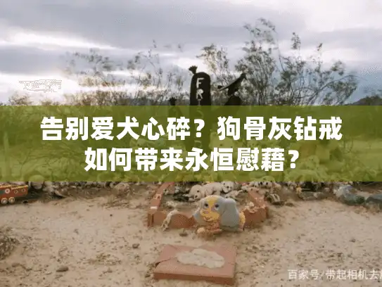 告别爱犬心碎？狗骨灰钻戒如何带来永恒慰藉？