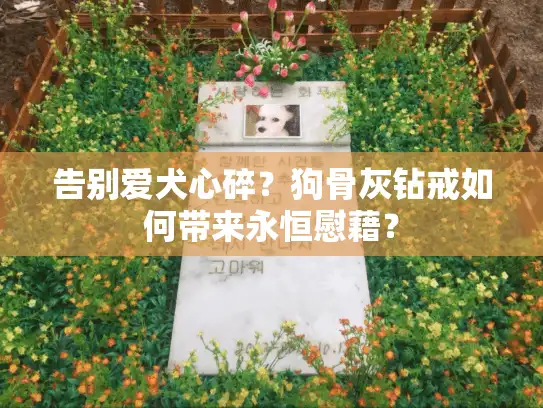 告别爱犬心碎？狗骨灰钻戒如何带来永恒慰藉？