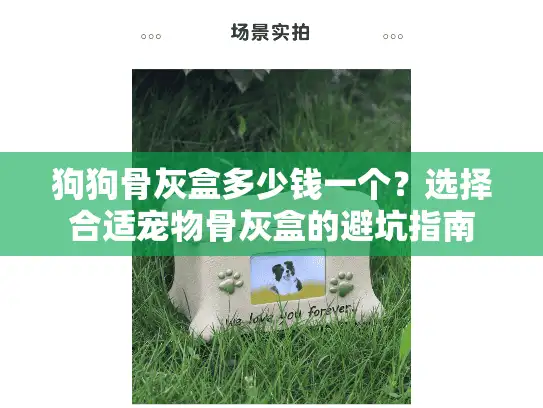 狗狗骨灰盒多少钱一个？选择合适宠物骨灰盒的避坑指南