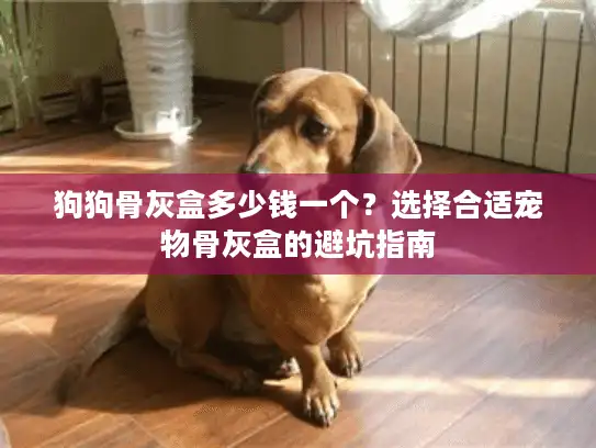 狗狗骨灰盒多少钱一个？选择合适宠物骨灰盒的避坑指南