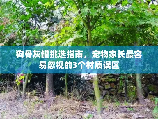 狗骨灰罐挑选指南，宠物家长最容易忽视的3个材质误区