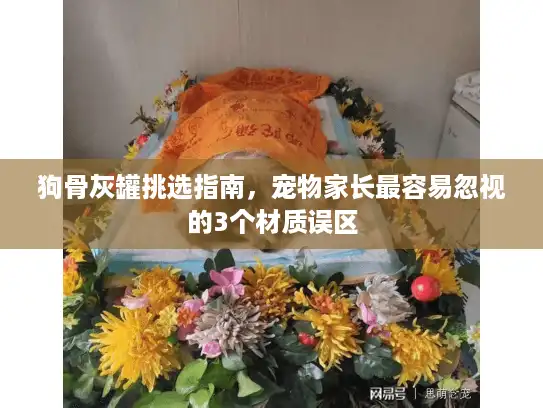 狗骨灰罐挑选指南，宠物家长最容易忽视的3个材质误区