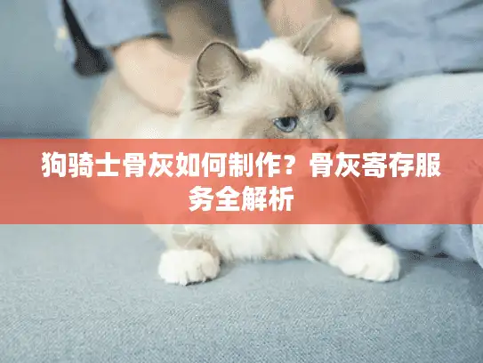 狗骑士骨灰如何制作？骨灰寄存服务全解析