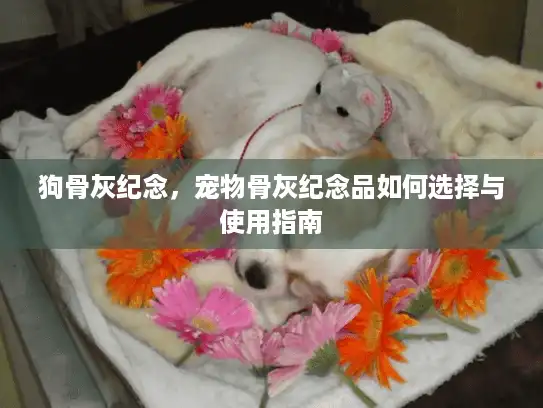 狗骨灰纪念，宠物骨灰纪念品如何选择与使用指南