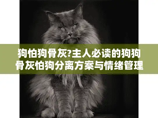 狗怕狗骨灰?主人必读的狗狗骨灰怕狗分离方案与情绪管理指南